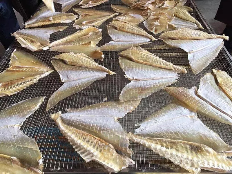 Making nutrient dried fish by fish dehydrator