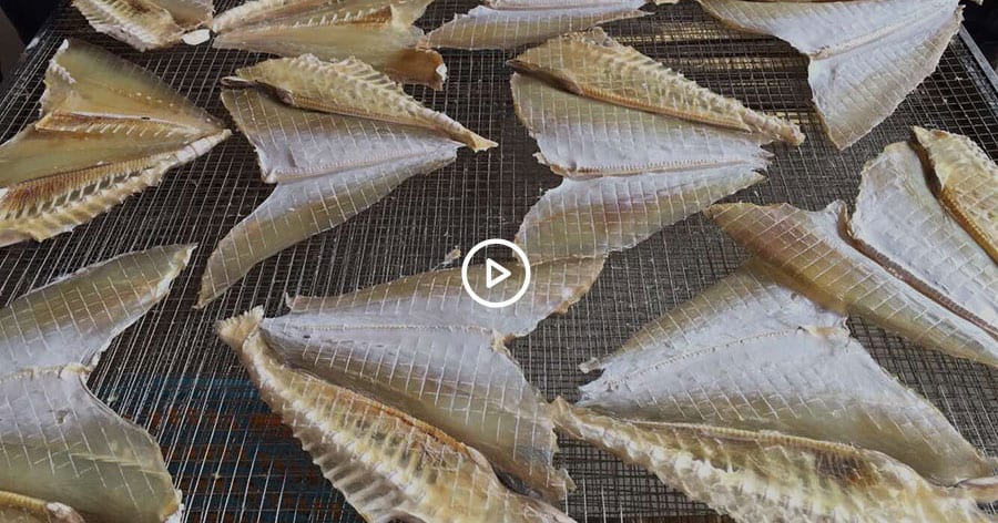 fish-dryer-video1.jpg