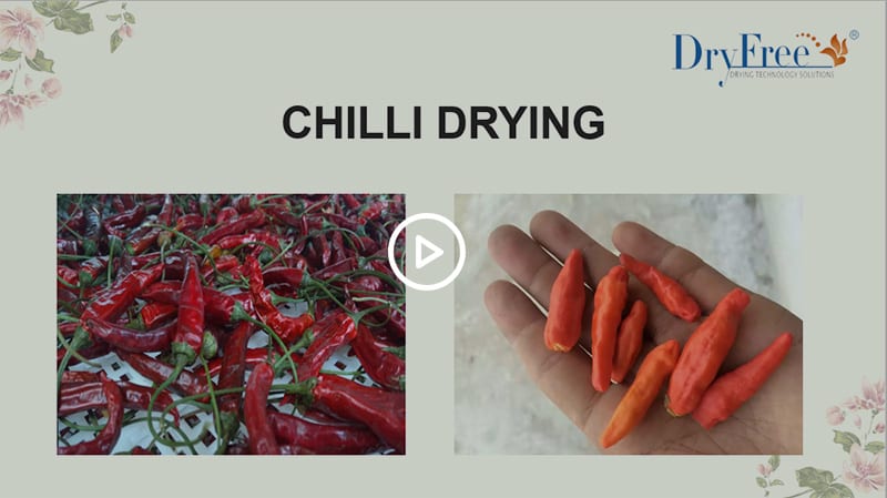 chilli-drying-machine.jpg