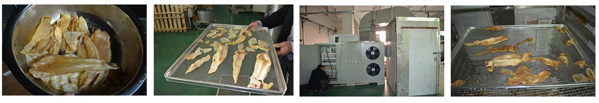 1613974190194535.jpg Fish-gelatin-drying.jpg
