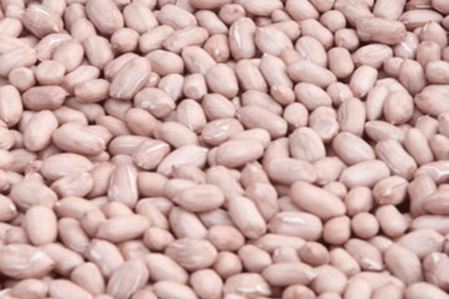 groundnut-drying2.png